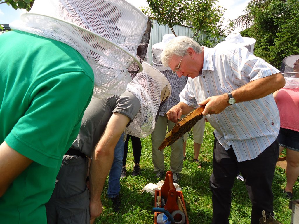Imker-Workshop