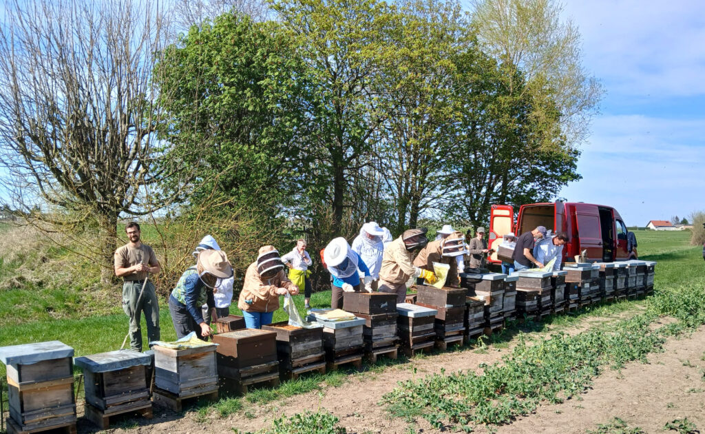 Imkerkurs des Bienenzuchtvereins St. Ingbert und Umgebung