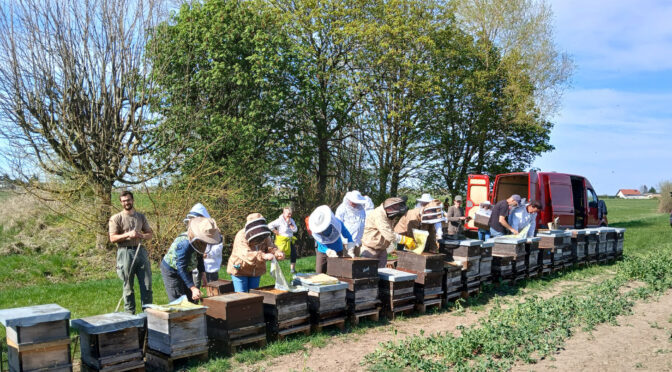 Imkerkurs des Bienenzuchtvereins St. Ingbert und Umgebung